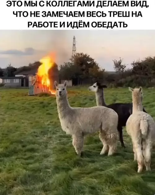 Картиночки, баянчики 05 марта