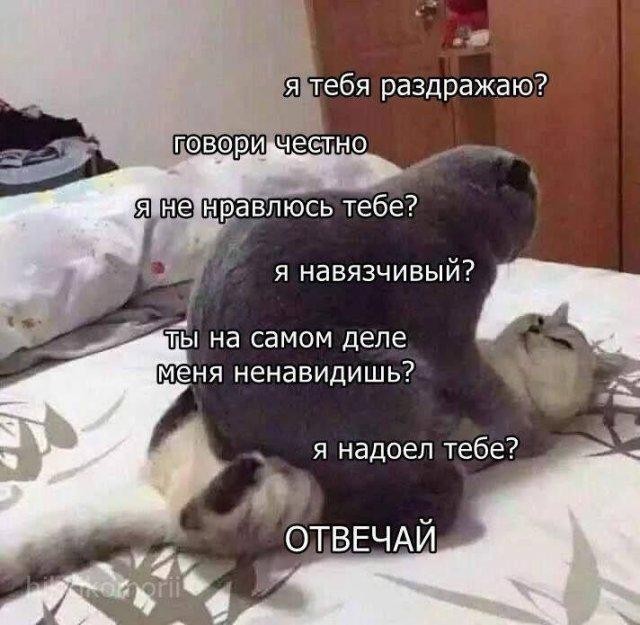 Так себе картинки 03.10.26