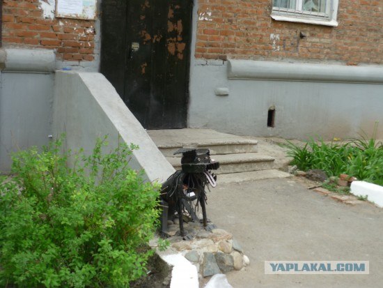 Креативная пёсомусорка