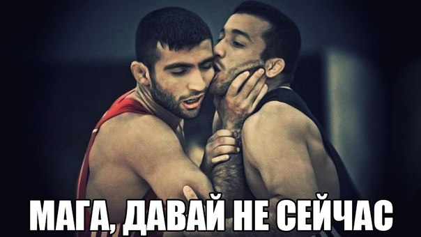 Драка на Чемпионате России по вольной борьбе