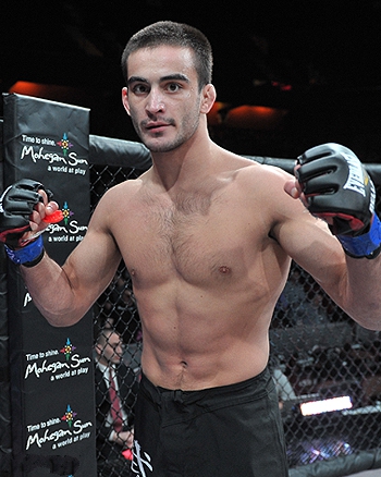 БОКС/MMA....
