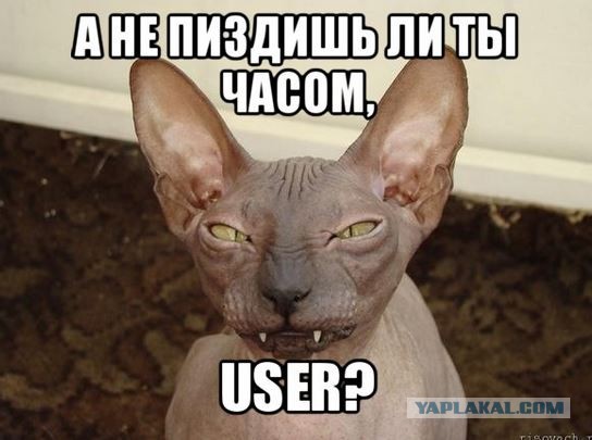 Колонна трофейных "Градов" ополчения в Макеевке.