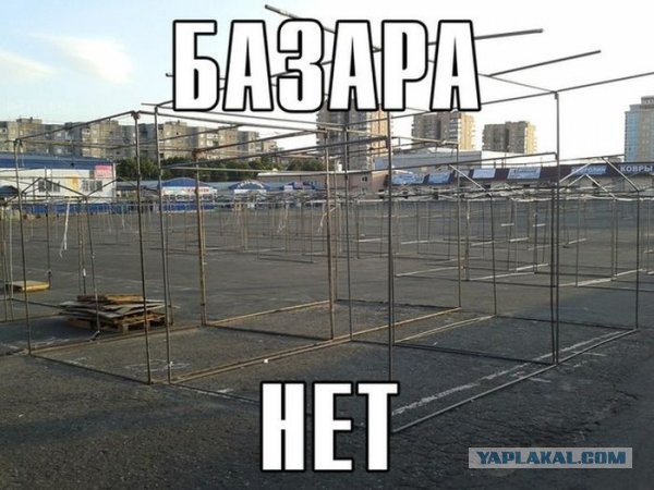 Немного смешных картинок из сети