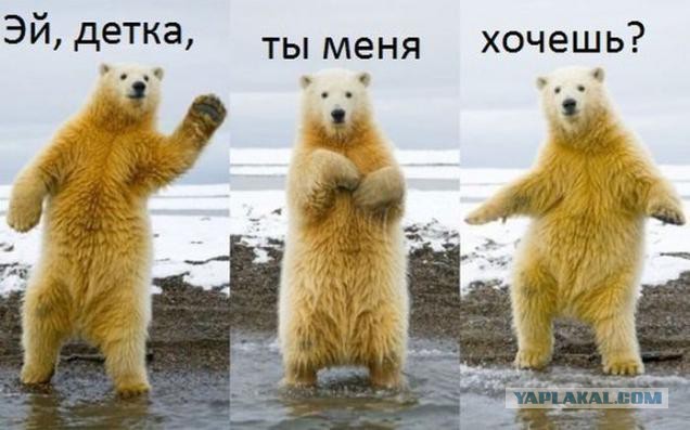 Они думают, что они очень секси.