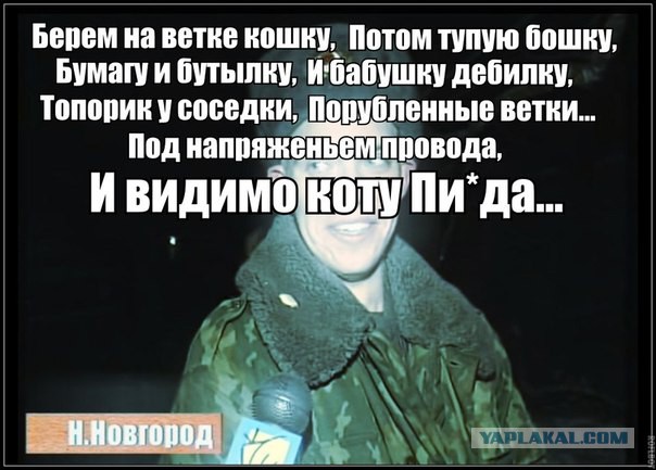 Фотожабы про спасение Барсика