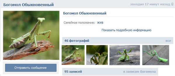 Смешные комментарии из социальных сетей
