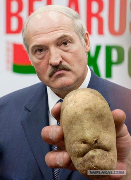 Веселые картинки