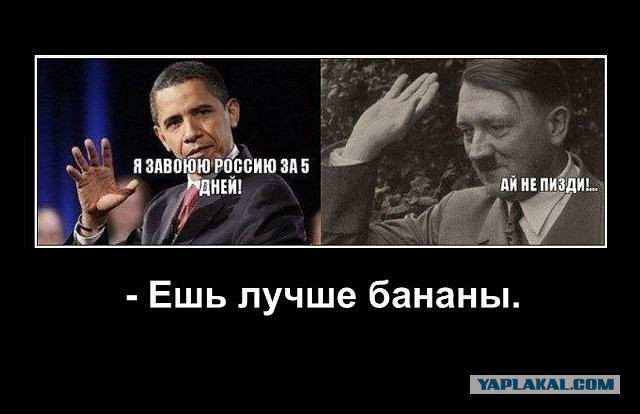 Первая неделя ВОВ