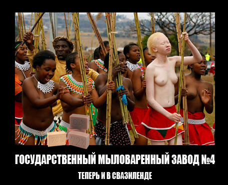 На злобу дня
