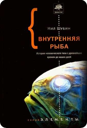 8 версий происхождения человека
