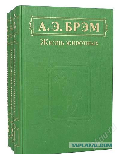 Интернет в тумбочке