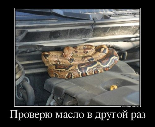 Немного демотиваторов