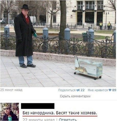 Картинки на пятницу
