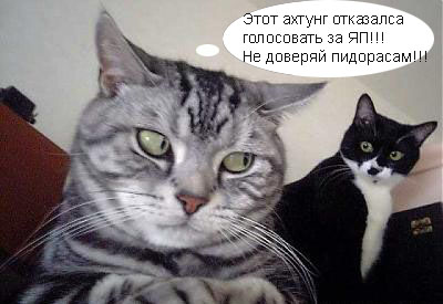 Они молятся за ЯПлакалъ !!!