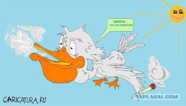 Разоблачение