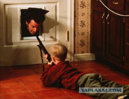 Лаз для кошки