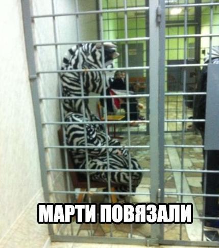 Подборка картинок из сети