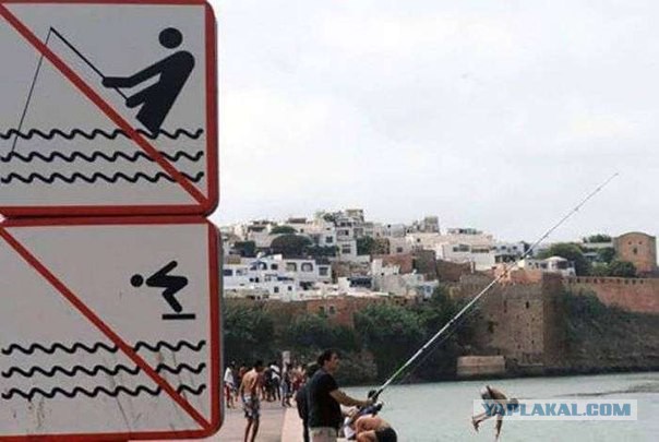 Подборка веселых картинок на выходные