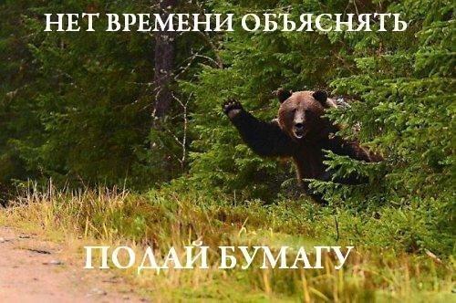 Мохнатые беспредельщики