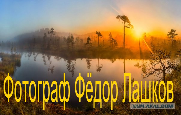 Болота Ленинградской области