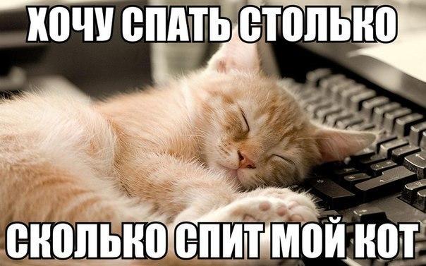 Мохнатые беспредельщики