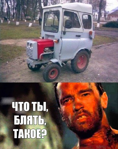 Порция картинок из сети.