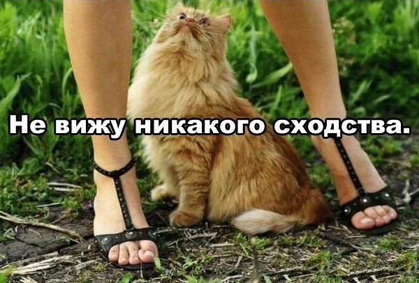 Картинки на пятницу