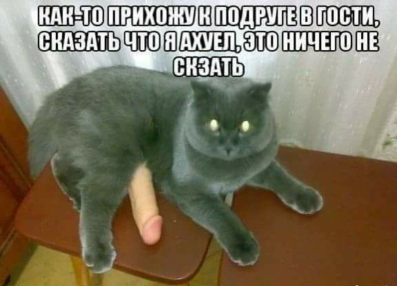 Тупеж и деградация