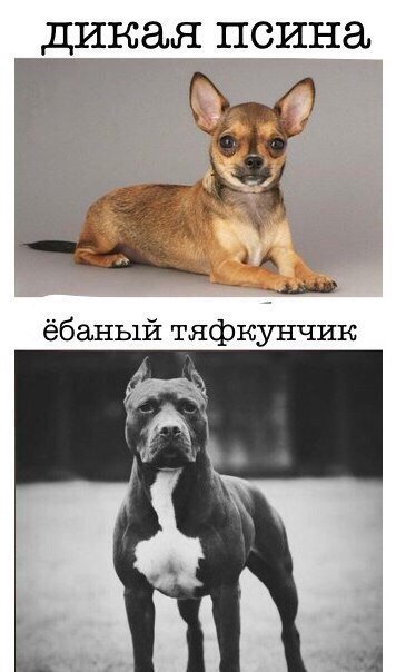 Журнал "Деградант" 4 выпуск 16+