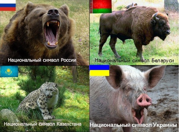 Коротко обо всех