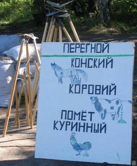 Массаж слепого? (31 фото)