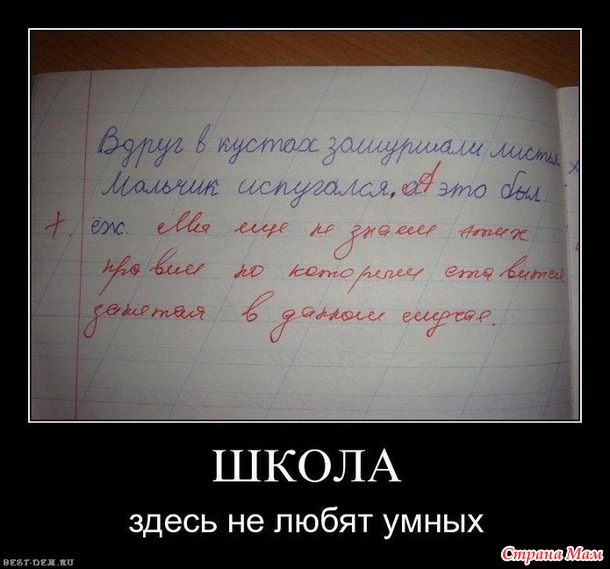 Уровень грамотности просто зашкаливает