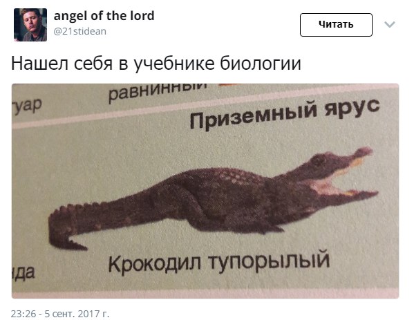 Немного визуального бреда на пятницу
