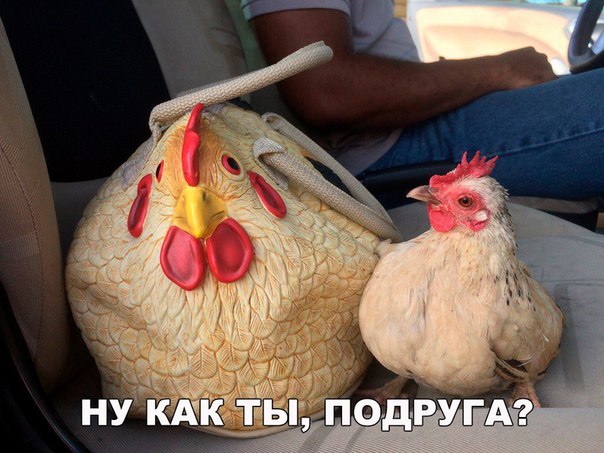 Картинки с надписями на разные темы - 2