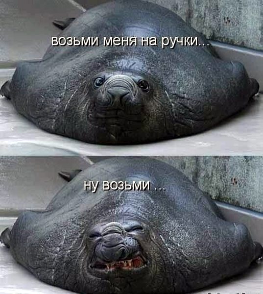 Люди, которых поймут интроверты