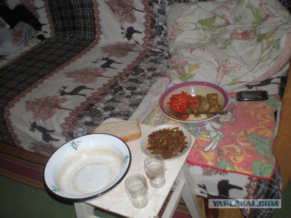 Трешак и вакханалия из соцсетей