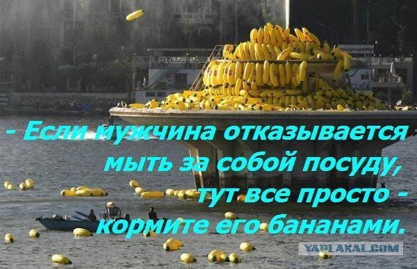 Вредные советы женщинам или СЖМ