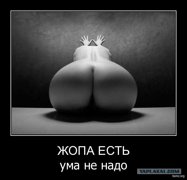 Чем больше попа, тем умнее женщина!