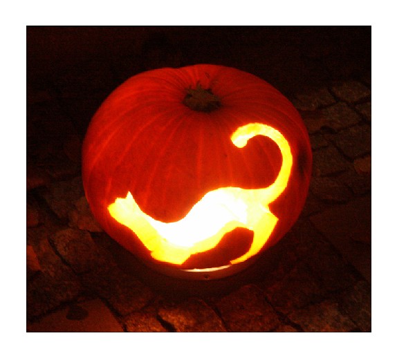 ХЭЛОУИН. Празднуем Halloween