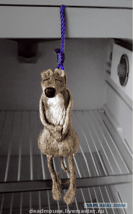 Открыл холодильник, а там...