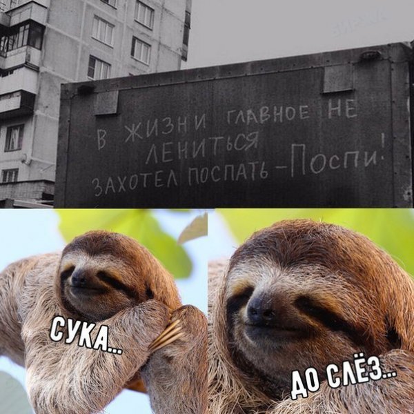 Нестандартный юмор