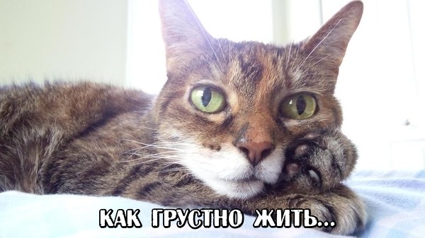 Итоги проверки пользователей
