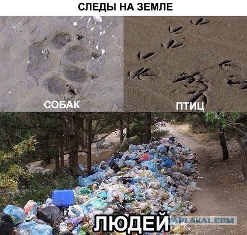 Кто вы, ублюдки?