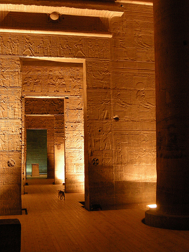 Котовторник в Египте