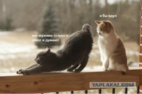 Соблазняет