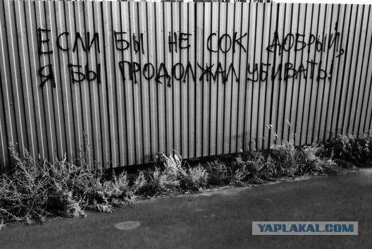 «Бродячие» философы: 17 глубокомысленных заметок в транспорте и на улицах