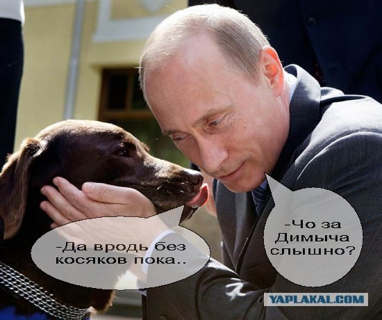 Путин и лабрадор