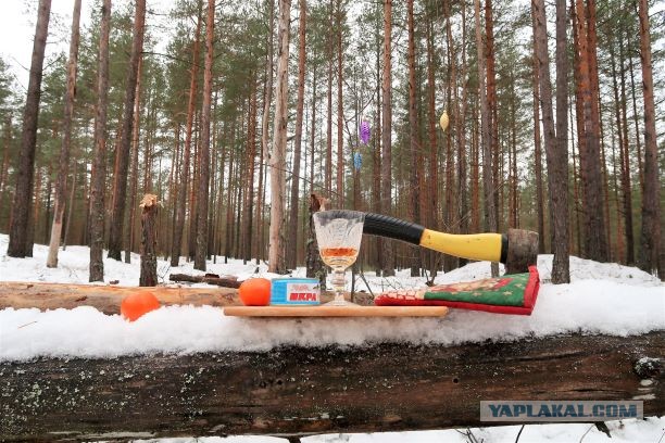 6 мифов о выживании, которые могут стоить вам жизни