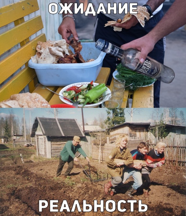 Кретинки