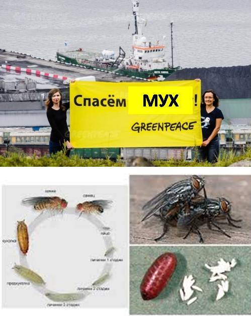 Картины маслом